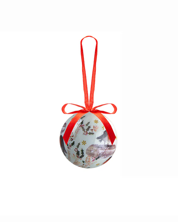 12PC Christmas Bauble Set Gift Boxed Red Robin - Image 4