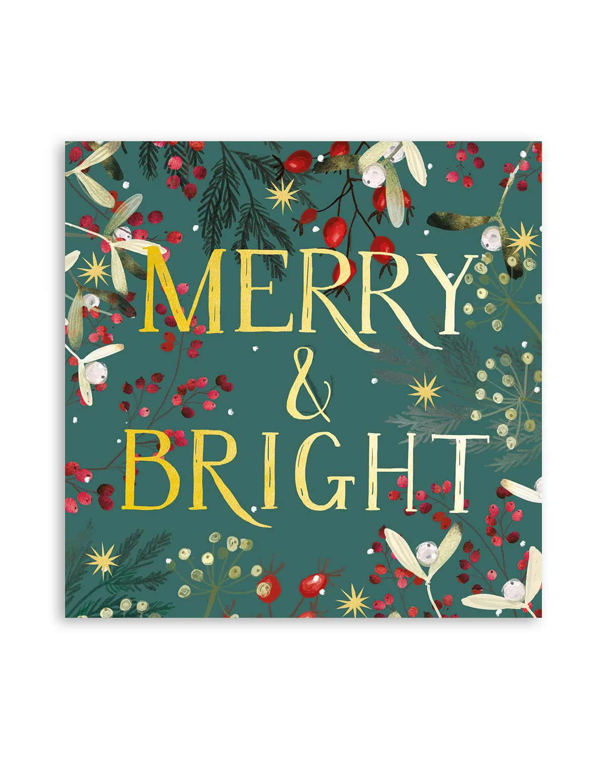 Charity Christmas Cards A Festive Message 10 Pack