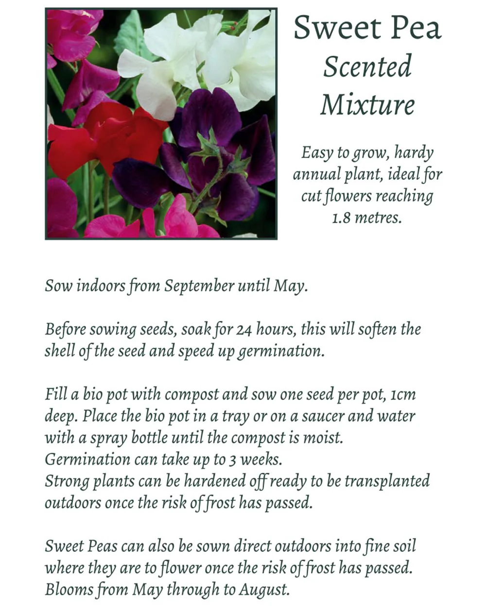Grow Your Own Climbing Flower Gift Set - Image 7