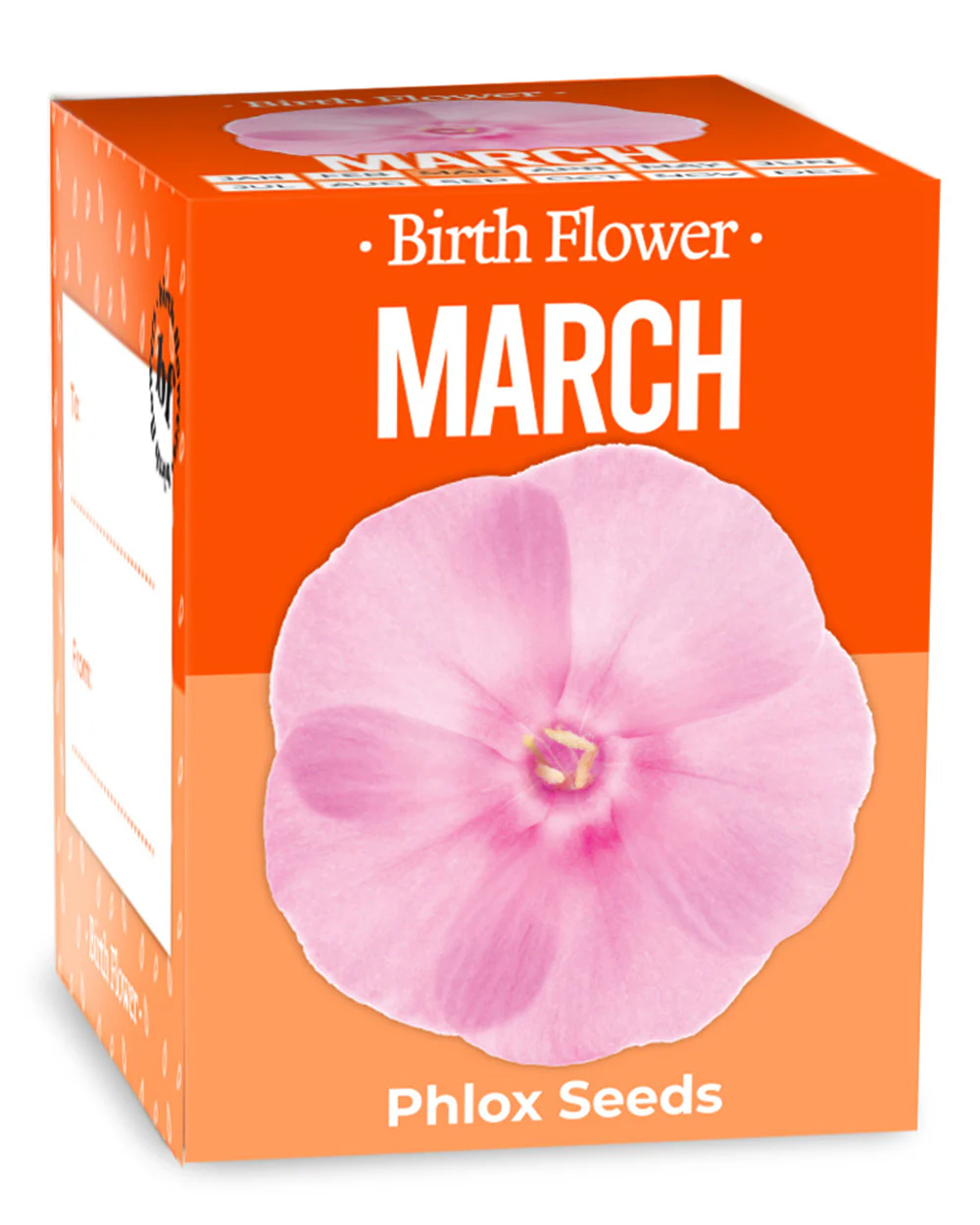 Grow Your Own March Birth Flower Gift Phlox - Image 2