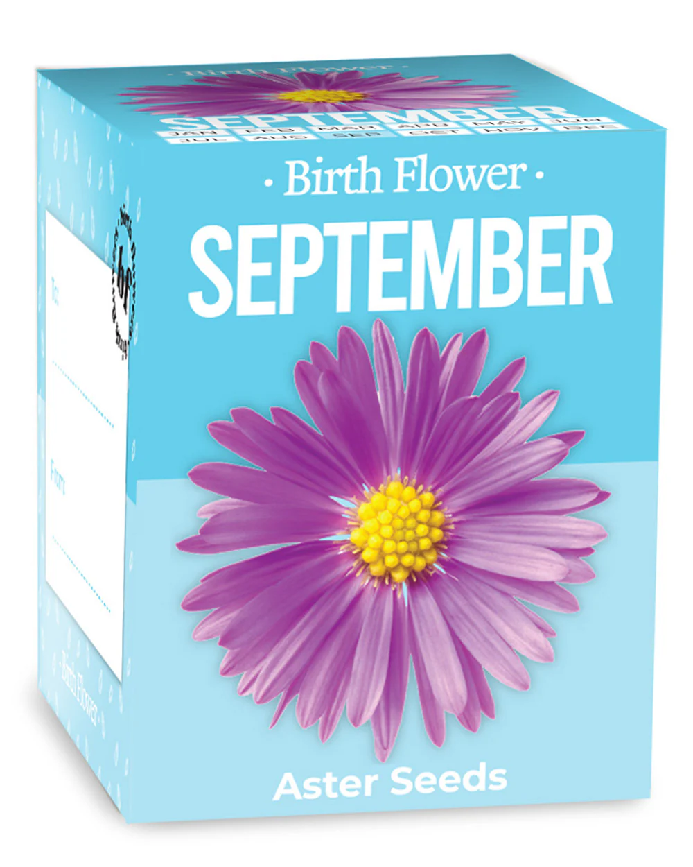 Grow Your Own September Birth Flower Gift Aster - Image 2