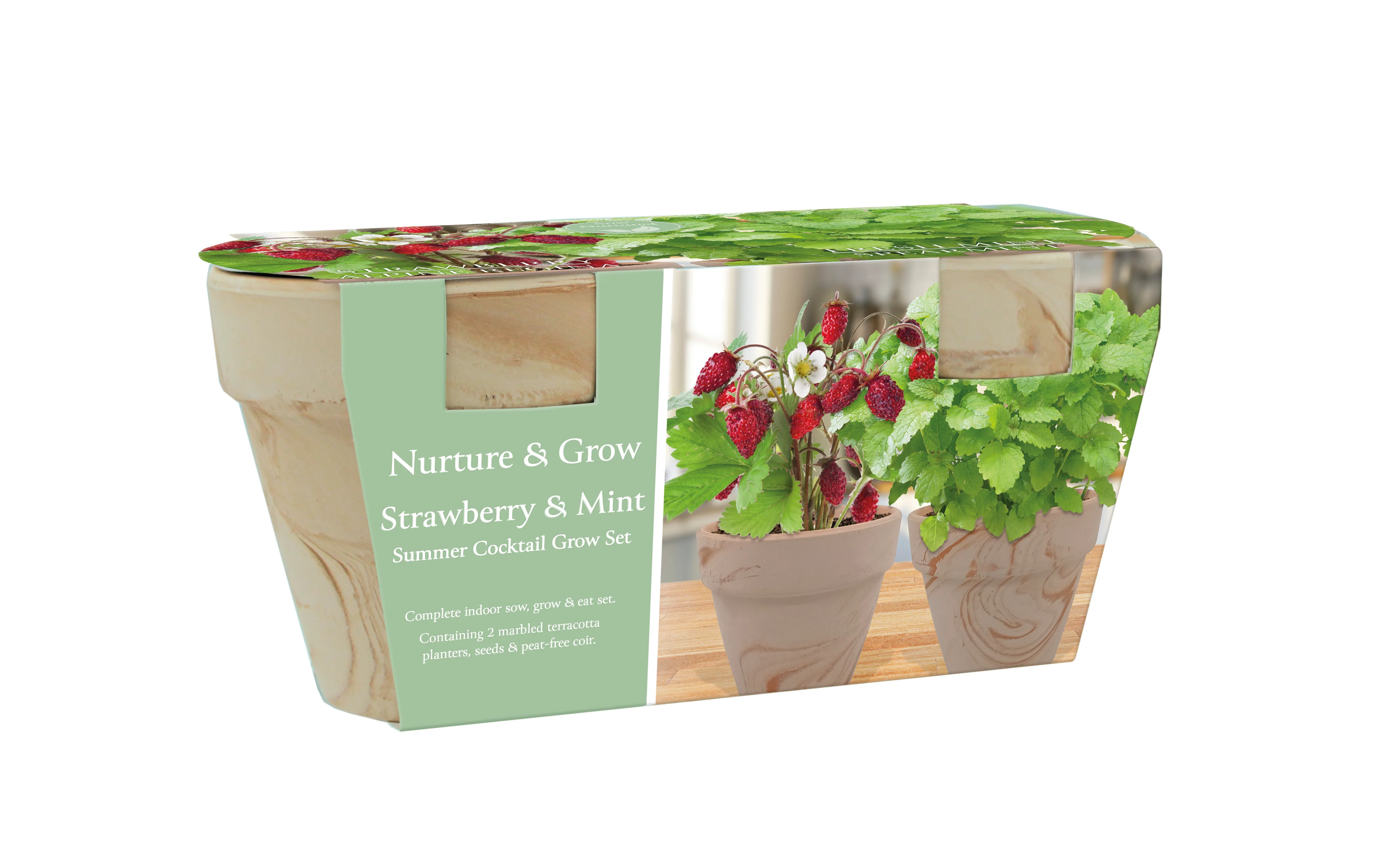 Grow Your Own Summer Cocktail Duo Strawberry & Mint