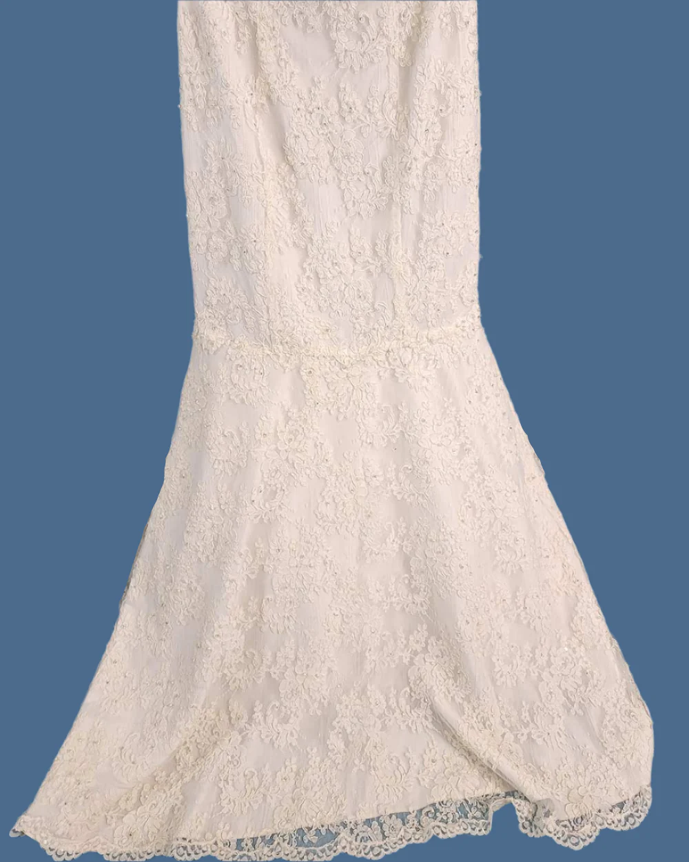 Hilary Morgan Ivory Strapless Fitted Wedding Dress Size 10 - Image 4