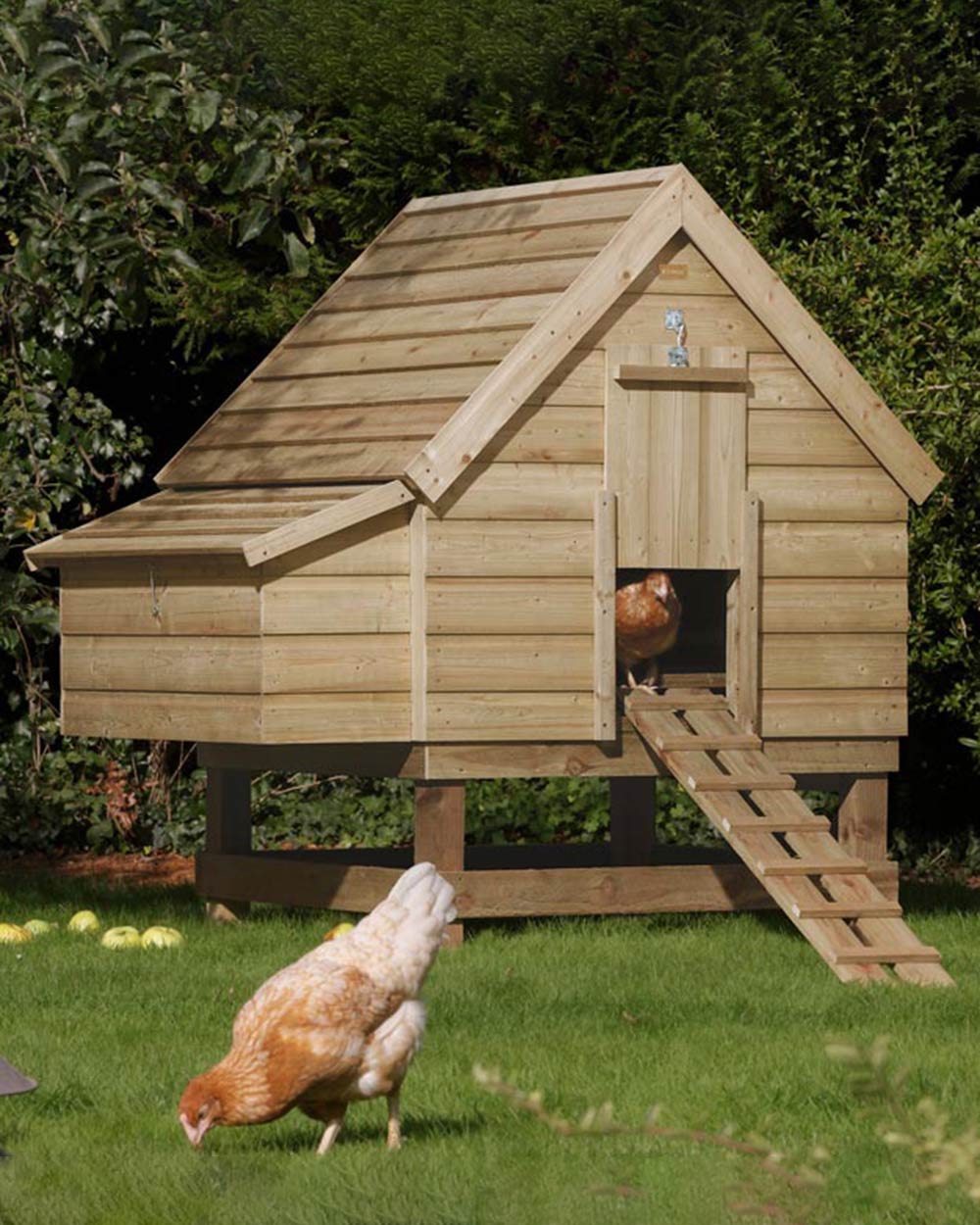 Large Chicken Coop Wooden Rowlinson