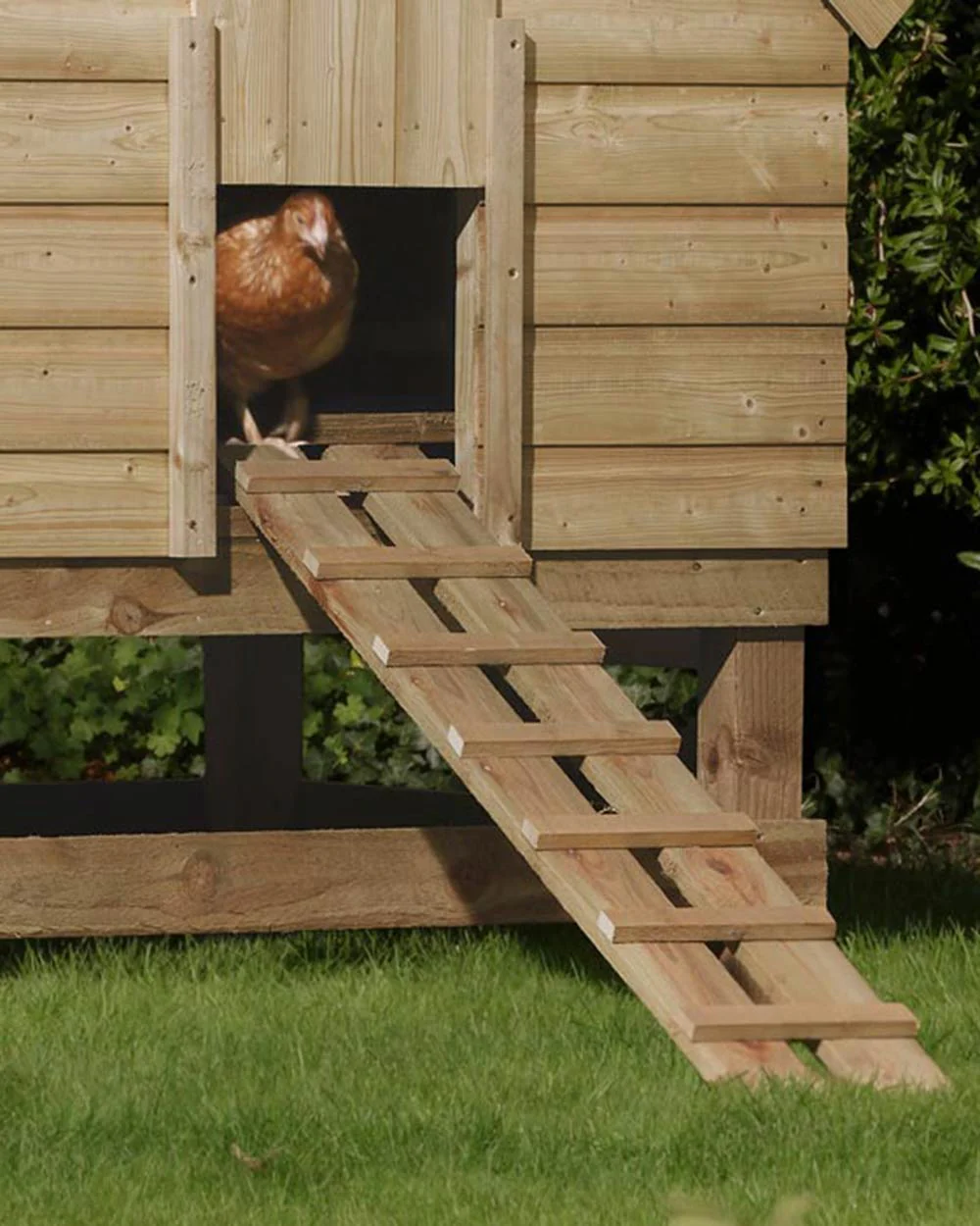 Large Chicken Coop Wooden Rowlinson - Image 2