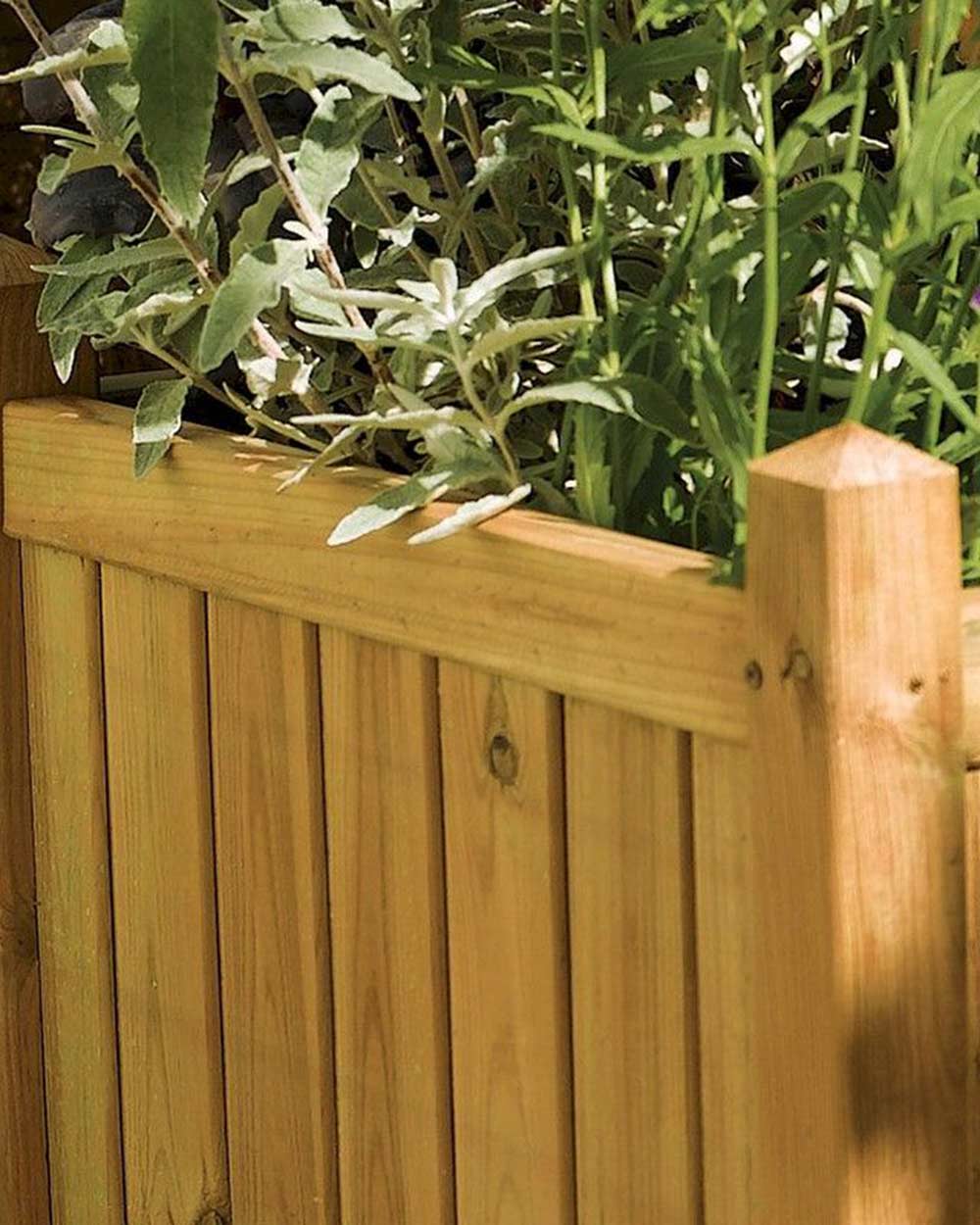 Rectangular Wooden Garden Planter Rowlinson - Image 4