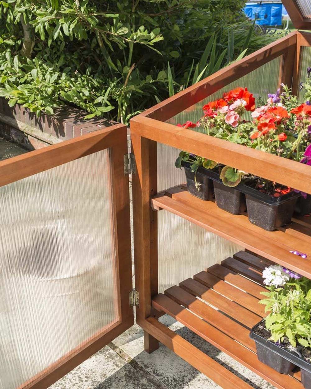 Rowlinson Eucalyptus Hardwood Coldframe - Image 3