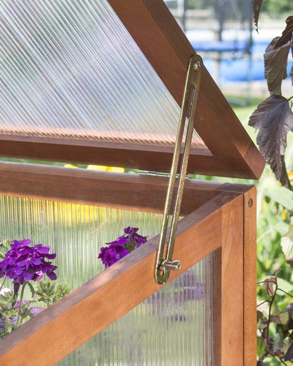 Rowlinson Eucalyptus Hardwood Coldframe - Image 4